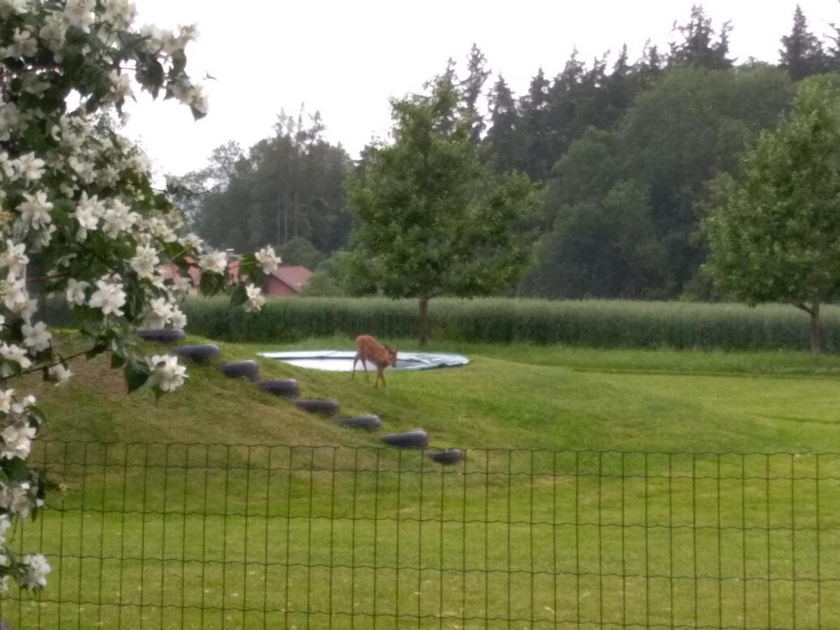 Vitalhof Roithinger Grieskirchen Esterno foto
