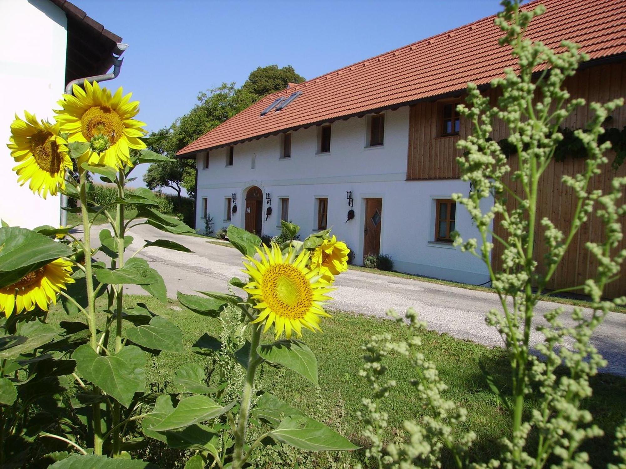 Vitalhof Roithinger Grieskirchen Esterno foto