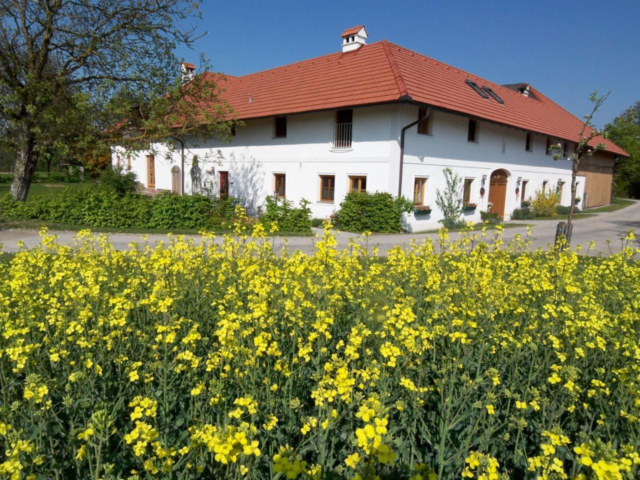 Vitalhof Roithinger Grieskirchen Esterno foto